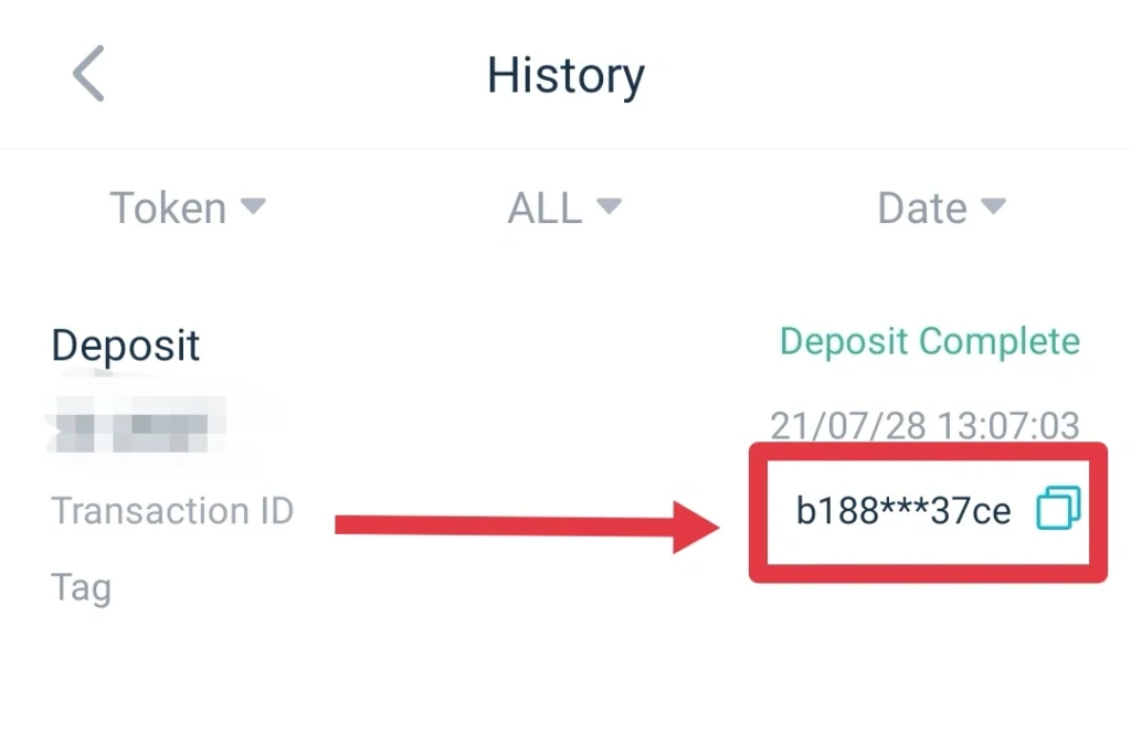 What is a transaction ID